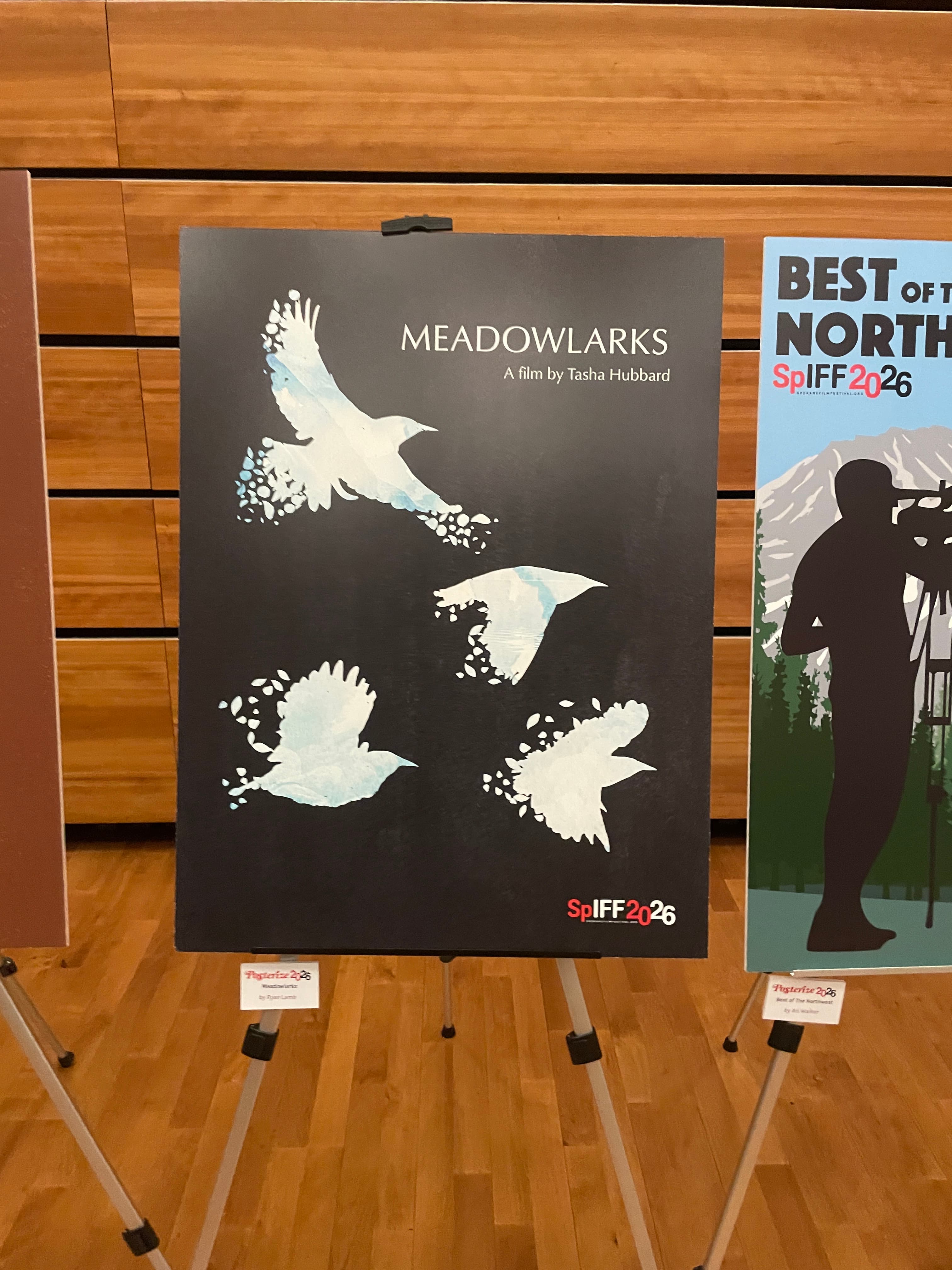 Meadowlarks event poster
