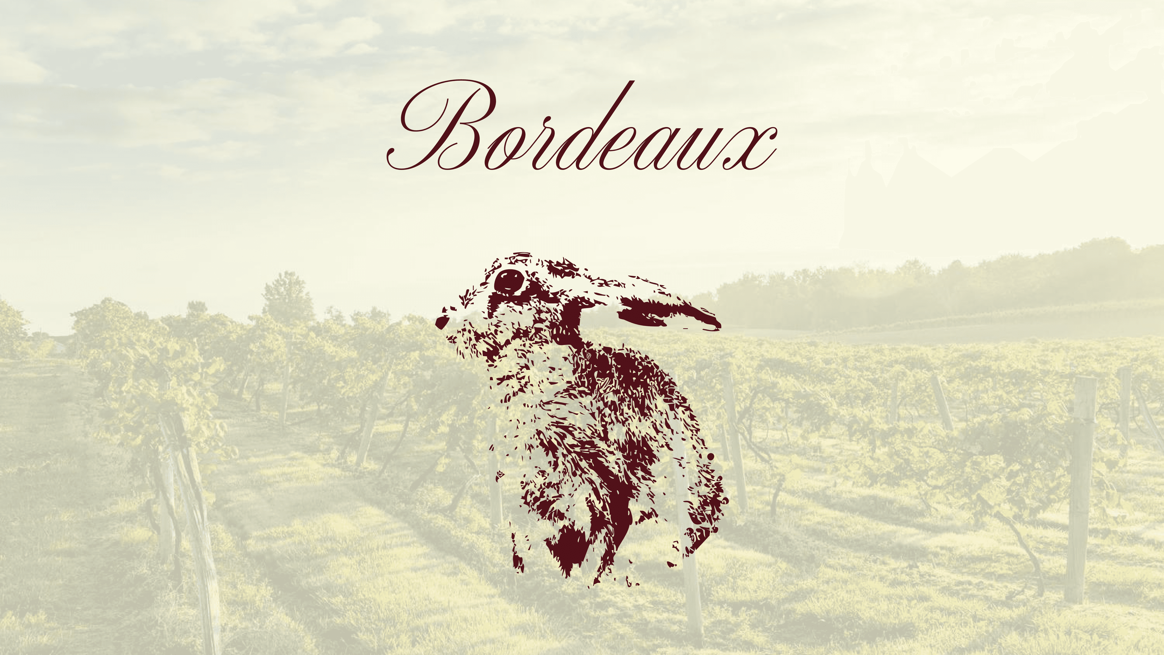 A collage of work done for Bordeaux Cabernet Sauvignon