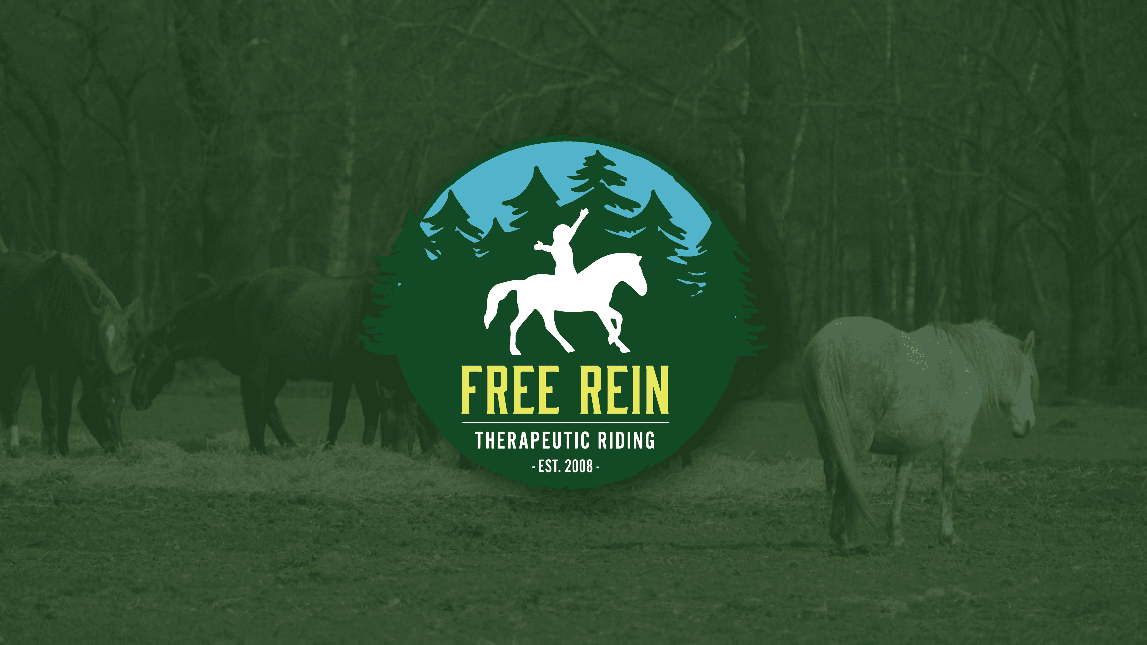 A collage of work done for Free Rein